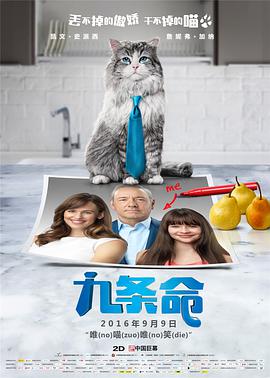 射高跟丝袜